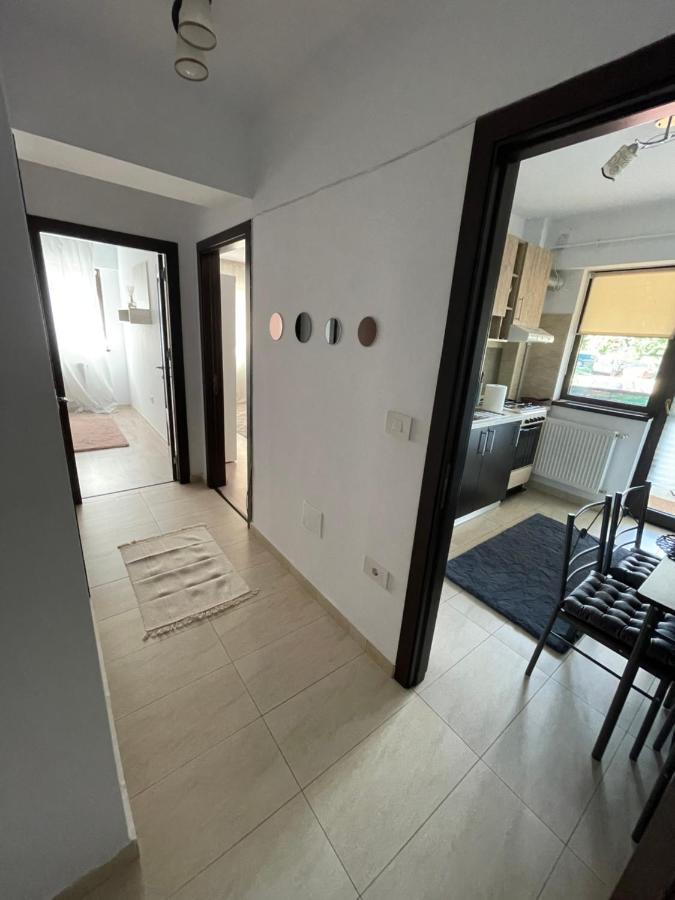 The Mirror - Quiet & Friendly Place In Copou Apartment Яш Екстериор снимка